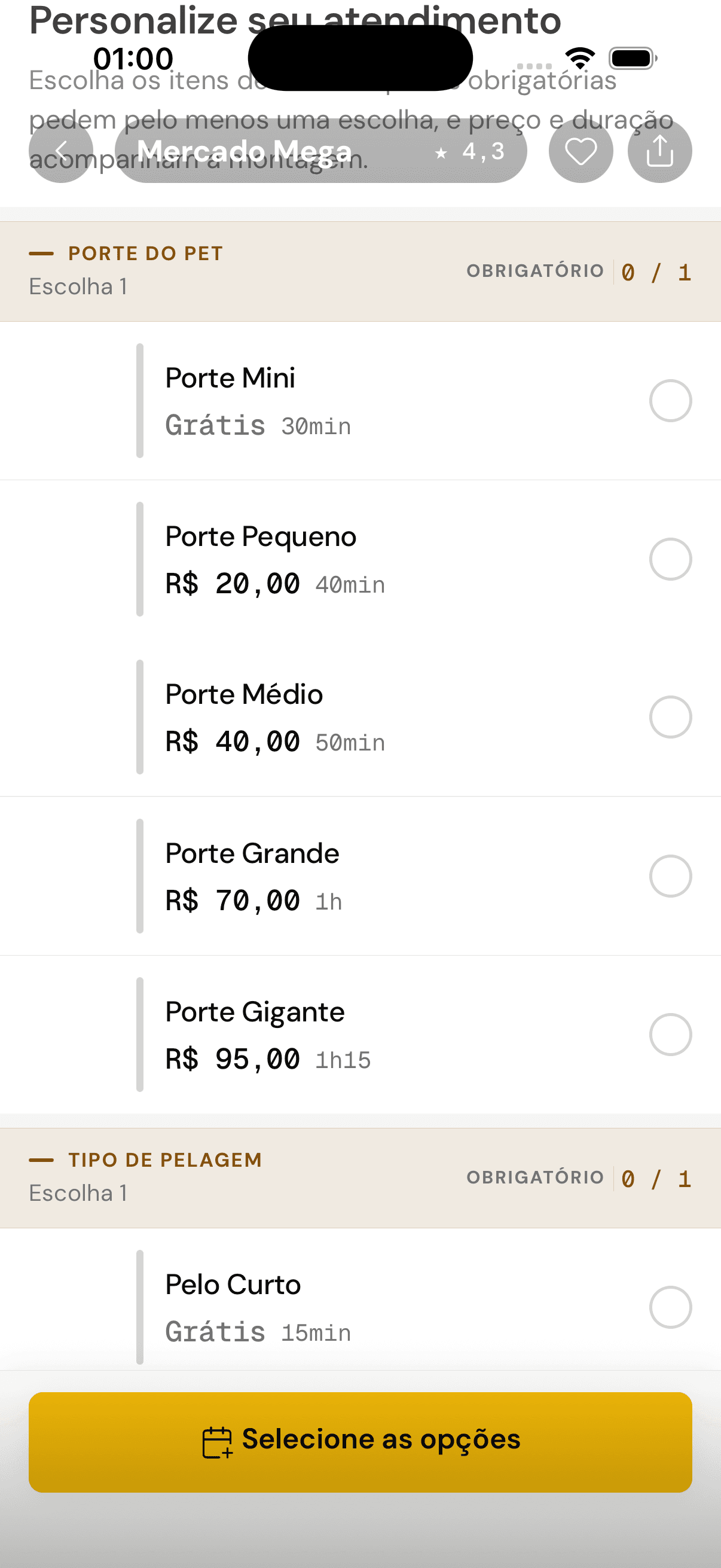 O cliente montando o serviço: escolhe porte e opções, e o preço e a duração se ajustam