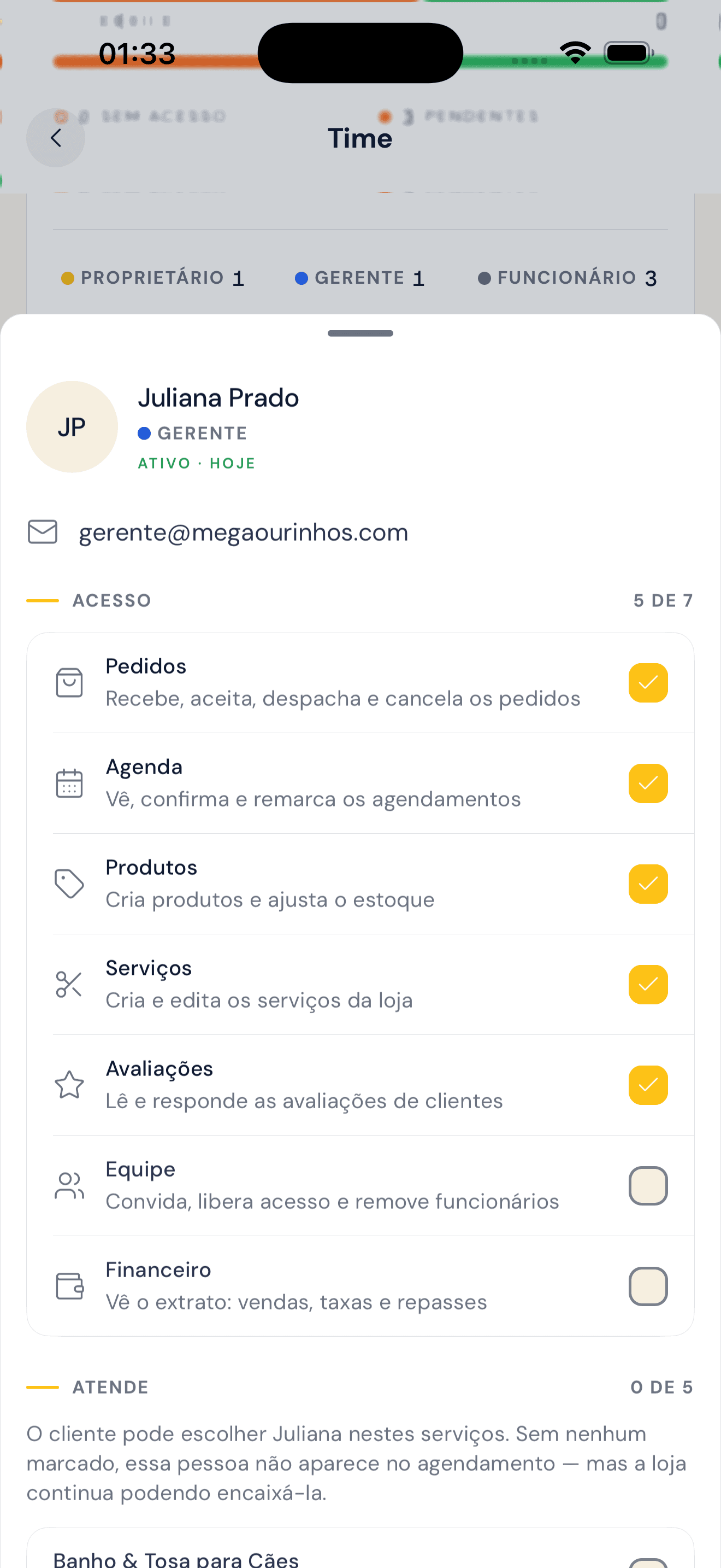 Permissões por área de um gerente: pedidos, agenda, produtos, serviços, avaliações e equipe