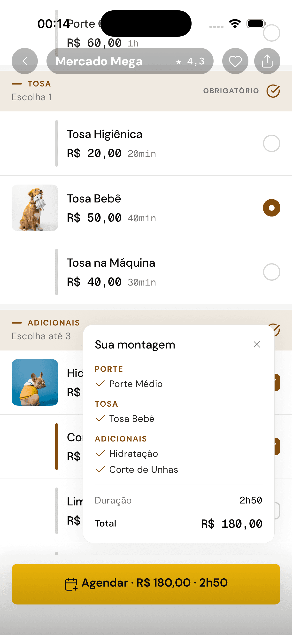 Montagem do serviço: porte, tipo de tosa e adicionais, com total parcial