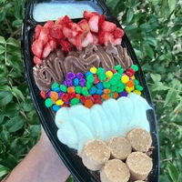 Barca de açai