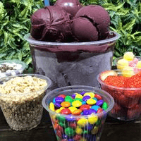 Açaí Especial 014 1000ml "Serve Até 3 Pessoas!"
