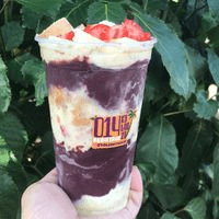 Monte seu açai 330 ml